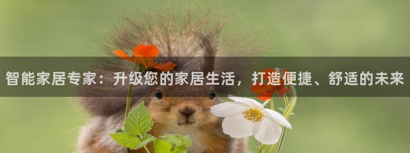 ug环球国际官网