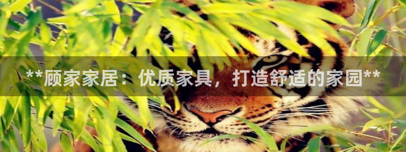 ug环球买分卖分