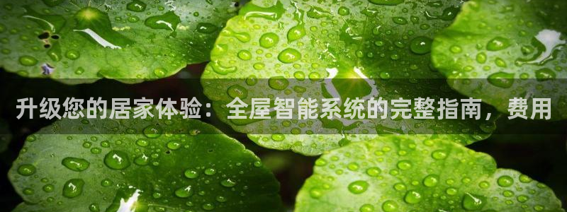 ug环球平台