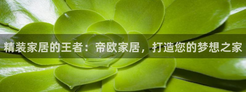 ug环球开户