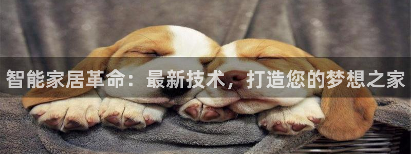 ug环球官网会员