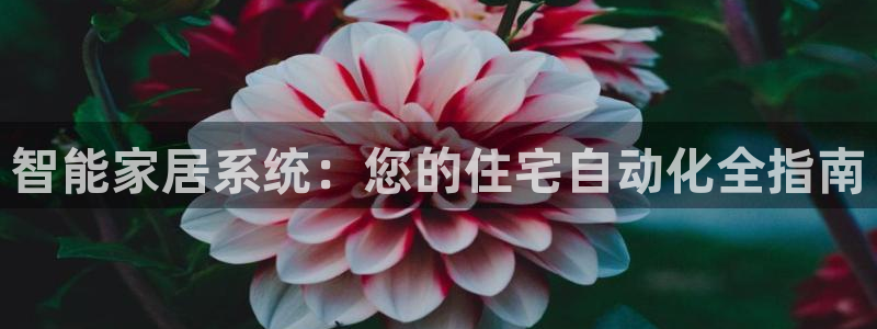 ug环球找唯xkk 908
