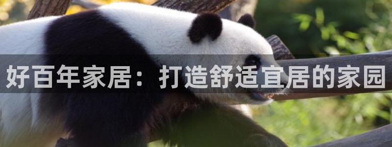 ug环球会员手机版下载