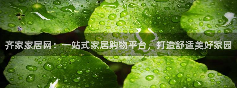 ug环球官网会员注册