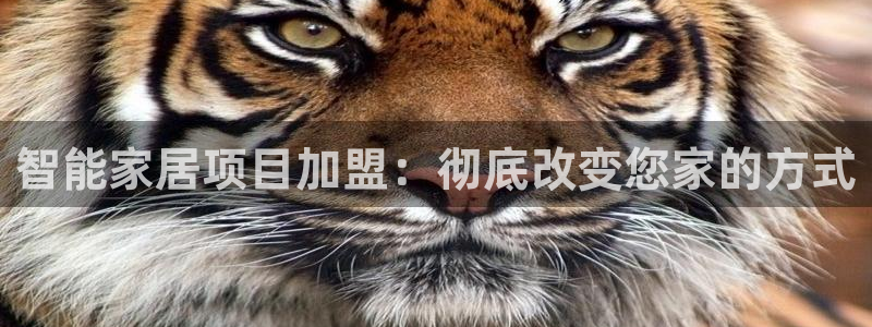 ug环球找唯xkk 908