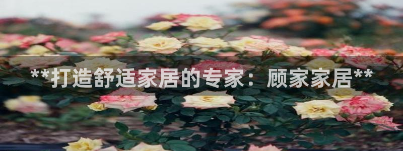 环球ug官网注册
