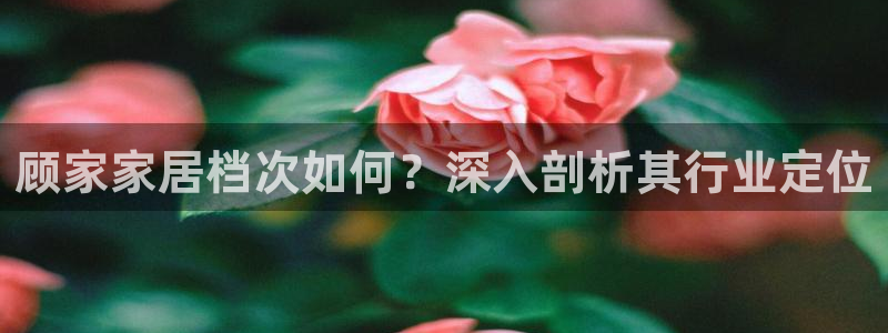 环球ug官网会员注册