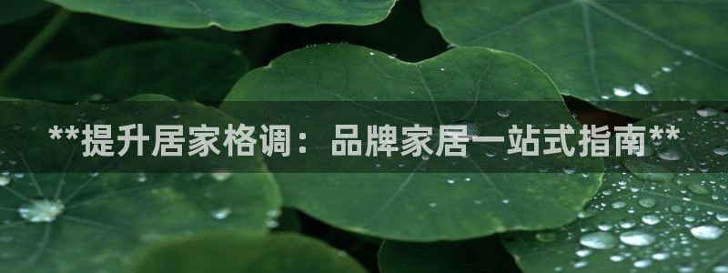 ug环球会员