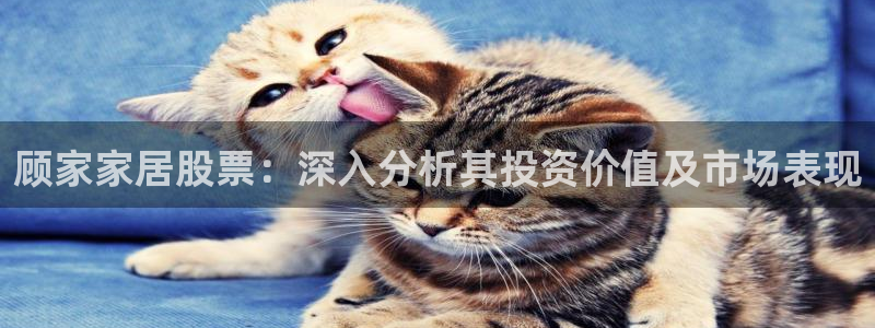 ug环球地址在哪里