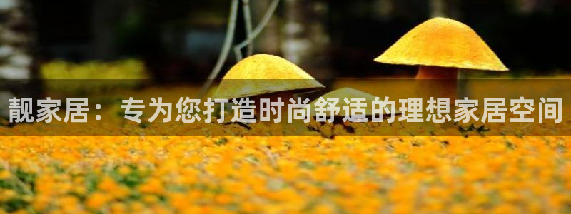 ug环球游戏网站官网