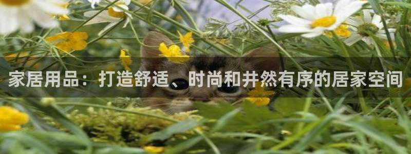 环球国际ug
