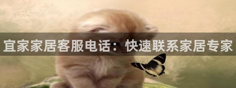 ug环球密码重置是多少位数啊