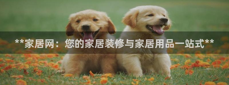 ug环球正网一比一