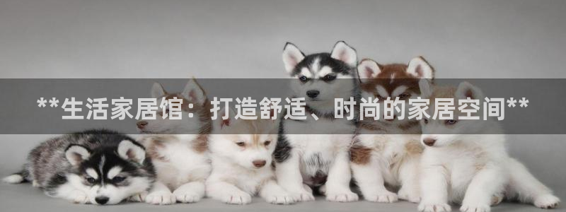 ug环球在线开户