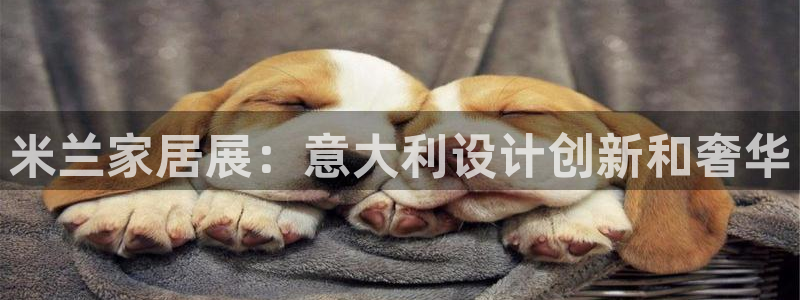 ug环球app下载