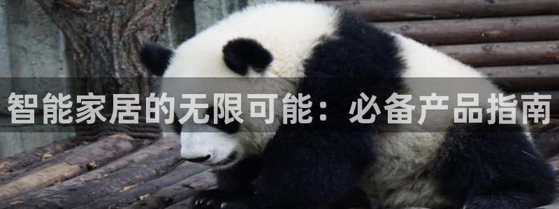ug环球在线开户