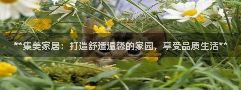 ug环球游戏网站官网
