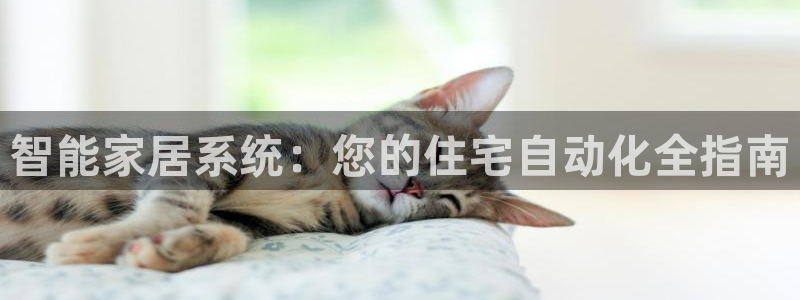 UG环球视讯