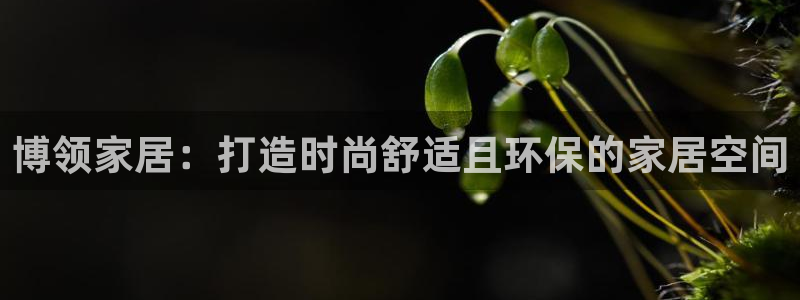 ug环球会员手机版下载官网