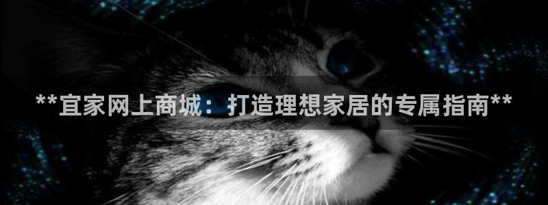 ug环球买代理