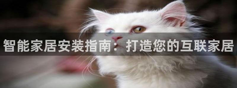 ug环球真假