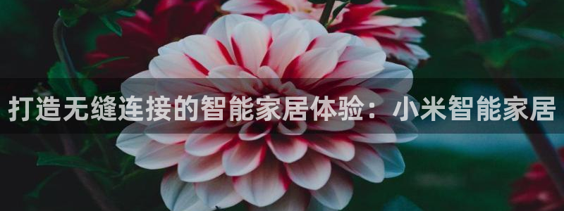 ug环球会员官网