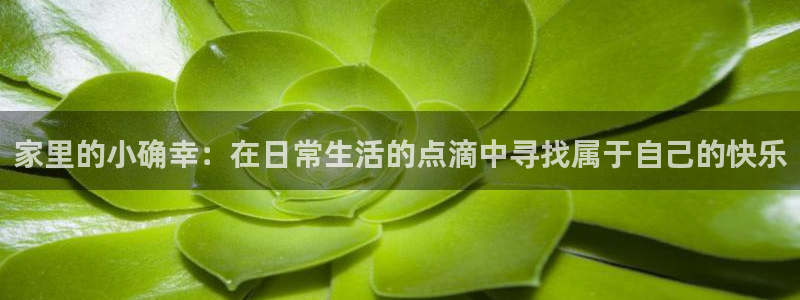 ug环球视讯真假