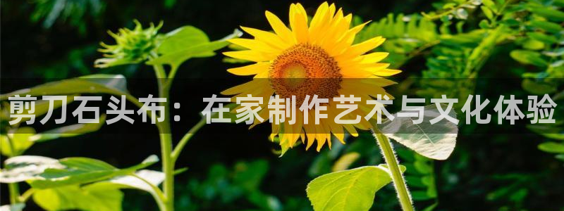 ug环球视讯手机版官网