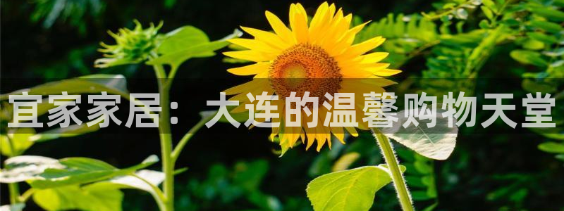 ug环球假网一比一