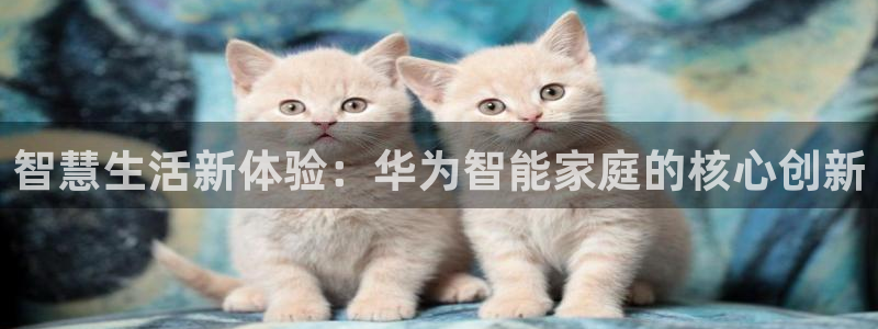 ug环球官网代理