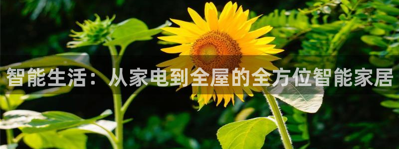 UG环球代理合作