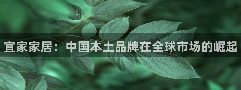 UG环球会员官方