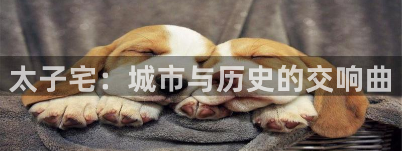 UG环球代理
