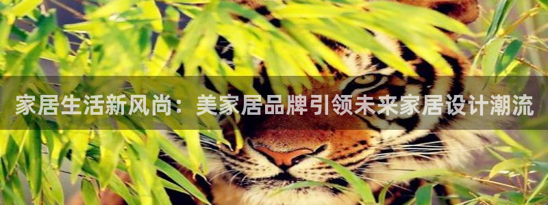 ug环球会员登陆