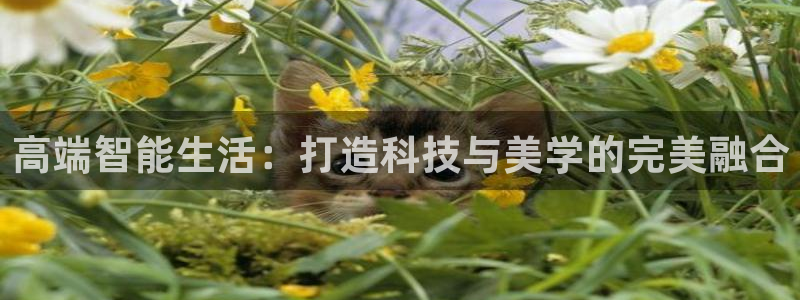 ug环球视讯官网
