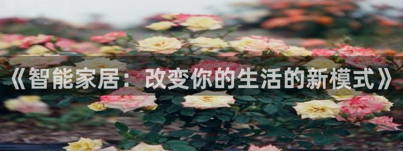 ug环球游戏网站官网