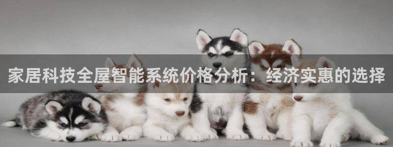 ug环球视讯
