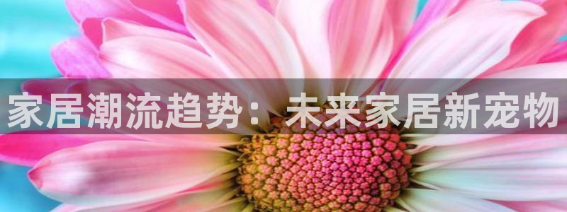 ug环球买代理