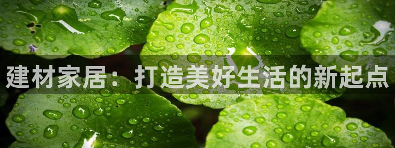 ug环球官网在线