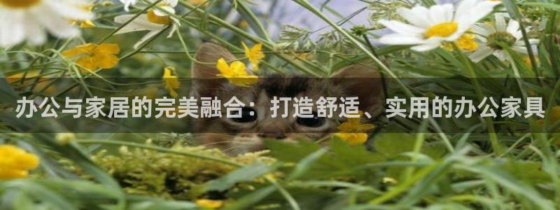 ug环球会员手机版下载