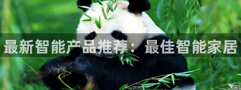 ug环球平台