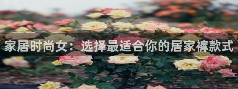 UG环球视讯
