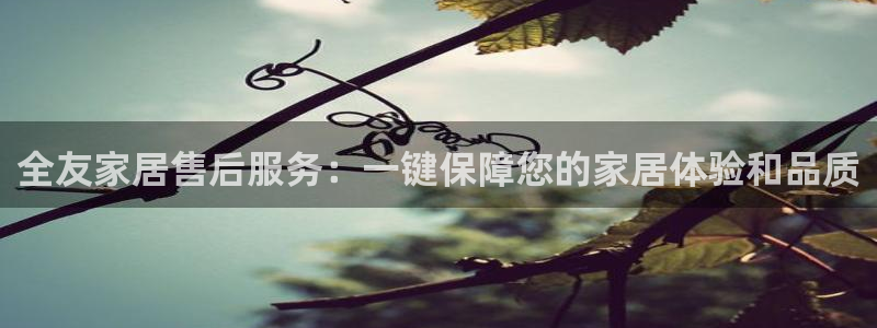 ug环球正网买分