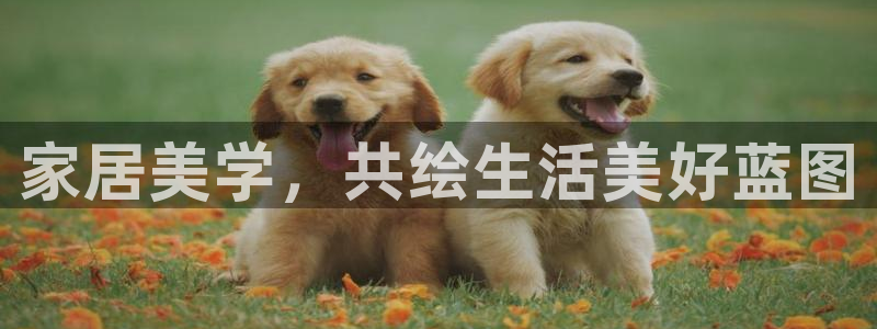 ug环球官网注册