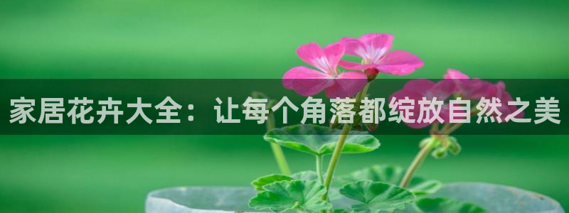 ug环球在线开户