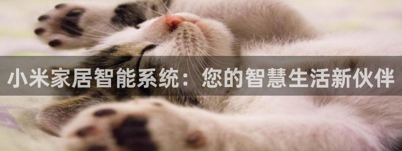 ug环球国际官网