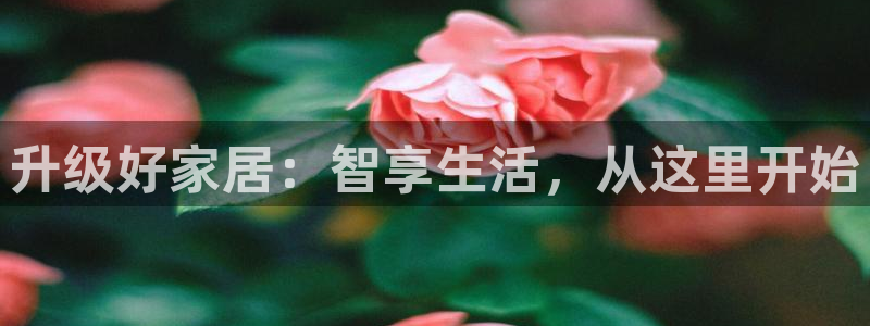 ug环球密码重置是多少位数