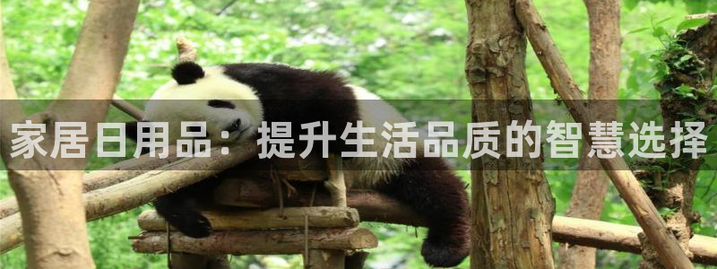 ug环球视讯延时软件