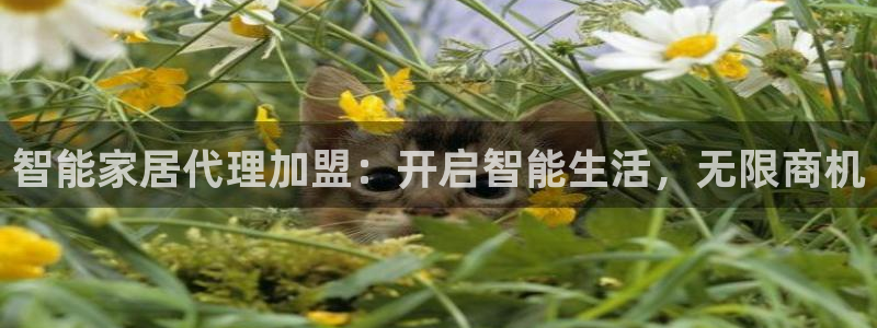 ug环球官网开户