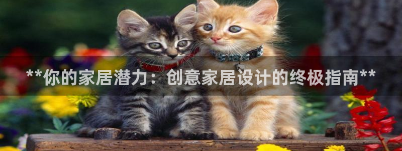 ug环球官网会员注册